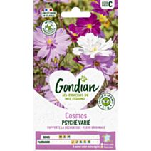 Cosmos Psychée - GONDIAN