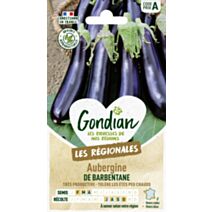 Aubergine de Barbentane - GONDIAN