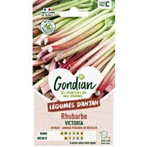 Rhubarbe Victoria - GONDIAN