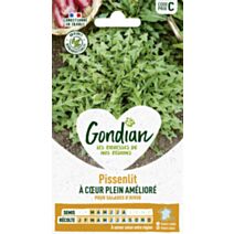 Pissenlit à Cœur Plein Amélioré - GONDIAN