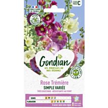 Rose Trémière Simple Variée - GONDIAN