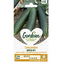 Concombre Breso HF1 - GONDIAN