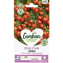 Œillet d'Inde Bonita Carmen - GONDIAN