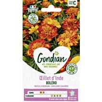 Œillet d'Inde Bonita Boléro - GONDIAN