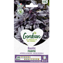 Basilic Pourpre - GONDIAN