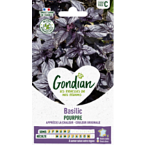 Basilic Pourpre - GONDIAN