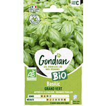 Basilic Grand Vert Bio - GONDIAN