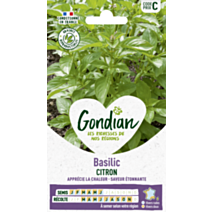 Basilic Citron - GONDIAN