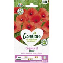 Pavot Coquelicot Simple Rouge - GONDIAN