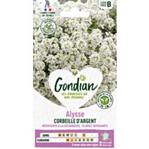 Alysse Corbeille d'Argent - GONDIAN