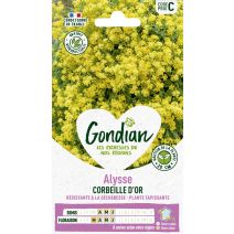 Alysse Corbeille d'Or - GONDIAN