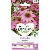 Rudbeckia Pourpre Magnus - GONDIAN