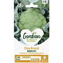 Chou Brocoli Koros - GONDIAN