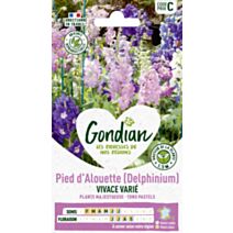 Pied d'Alouette Vivace Varié - GONDIAN