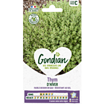 Thym Ordinaire - GONDIAN