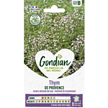 Thym de Provence - GONDIAN