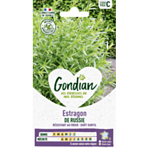 Estragon de Russie - GONDIAN