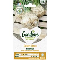 Céleri-Rave Monarch - GONDIAN