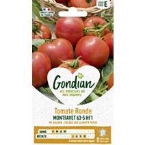Tomate Montfavet 63-5 HF1 - GONDIAN