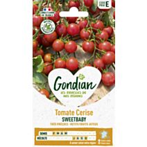 Tomate Sweetbaby - GONDIAN
