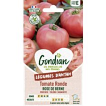 Tomate Rose de Berne - GONDIAN
