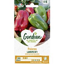 Piment Lamuyo HF1 - GONDIAN