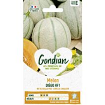 Melon Diego HF1 - GONDIAN