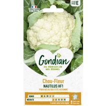 Chou-Fleur Nautilus HF1 - GONDIAN