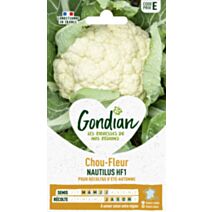 Chou-Fleur Nautilus HF1 - GONDIAN