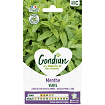 Menthe Verte - GONDIAN