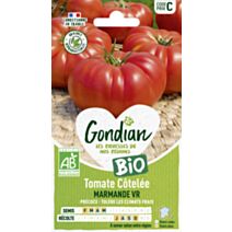 Tomate Marmande Bio - GONDIAN