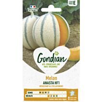 Melon Anasta HF1 - GONDIAN