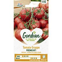 Tomate Premio HF1 - GONDIAN