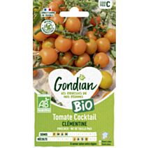 Tomate Cocktail Clémentine Bio - GONDIAN