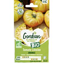 Tomate Ananas Bio - GONDIAN