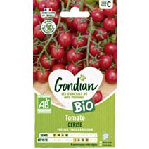 Tomate Cerise Bio - GONDIAN