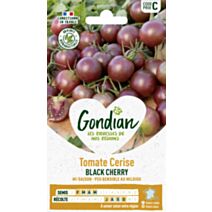 Tomate Black Cherry - GONDIAN