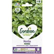 Menthe Poivrée - GONDIAN