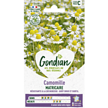 Camomille Ordinaire - GONDIAN