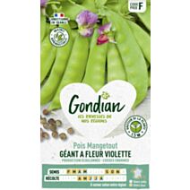 Pois Géant à Fleur Violette - GONDIAN