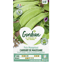 Pois Carouby de Maussane - GONDIAN