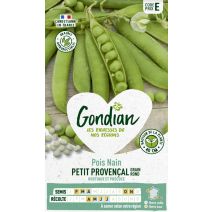 Pois Petit Provençal - GONDIAN