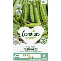 Pois Téléphone Nain - GONDIAN