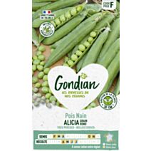 Pois Alicia - GONDIAN