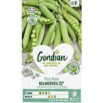 Pois Kelmerveil - GONDIAN