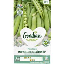 Pois Merveille de Kelvédon - GONDIAN