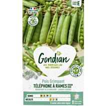Pois Téléphone à Rames - GONDIAN