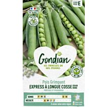 Pois Express à Longue Cosse - GONDIAN
