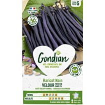 Haricot Velour - GONDIAN