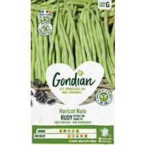 Haricot Rudy - GONDIAN